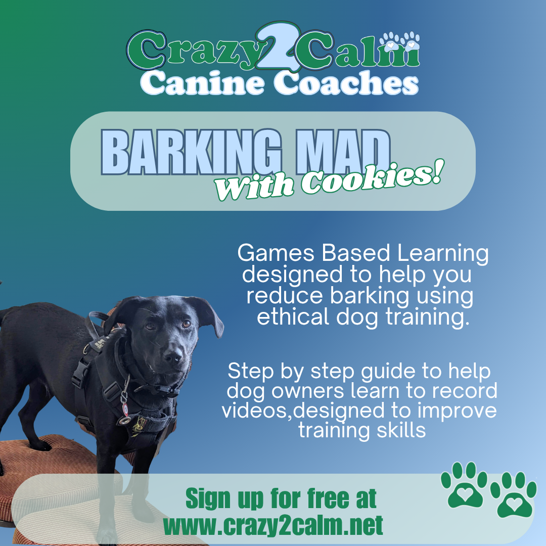 Crazy2Calmcaninecoaches.net